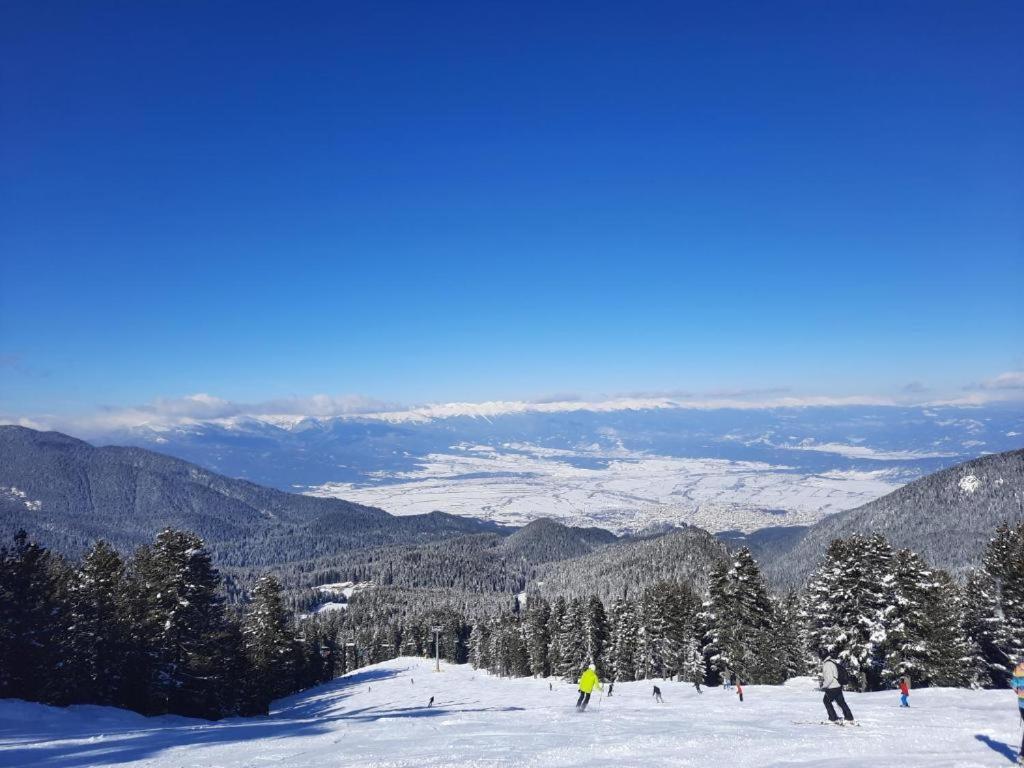 Apartments In Aspen Suites 班斯科 客房 照片